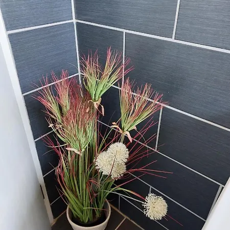 Ferienwohnung Eichhoernchen Eckernförde Extérieur photo